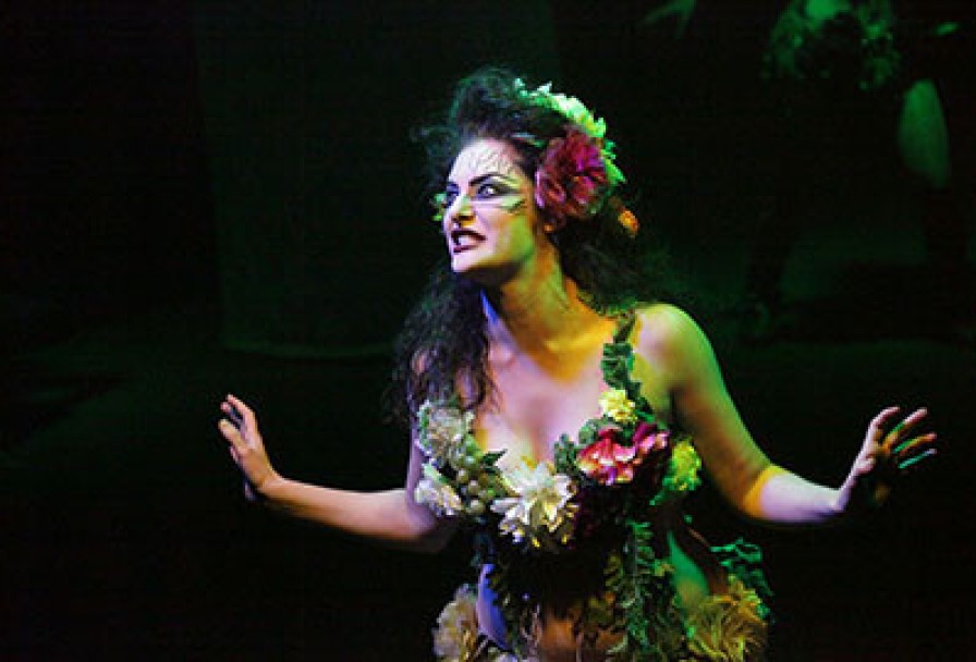 Сон в Летнюю Ночь