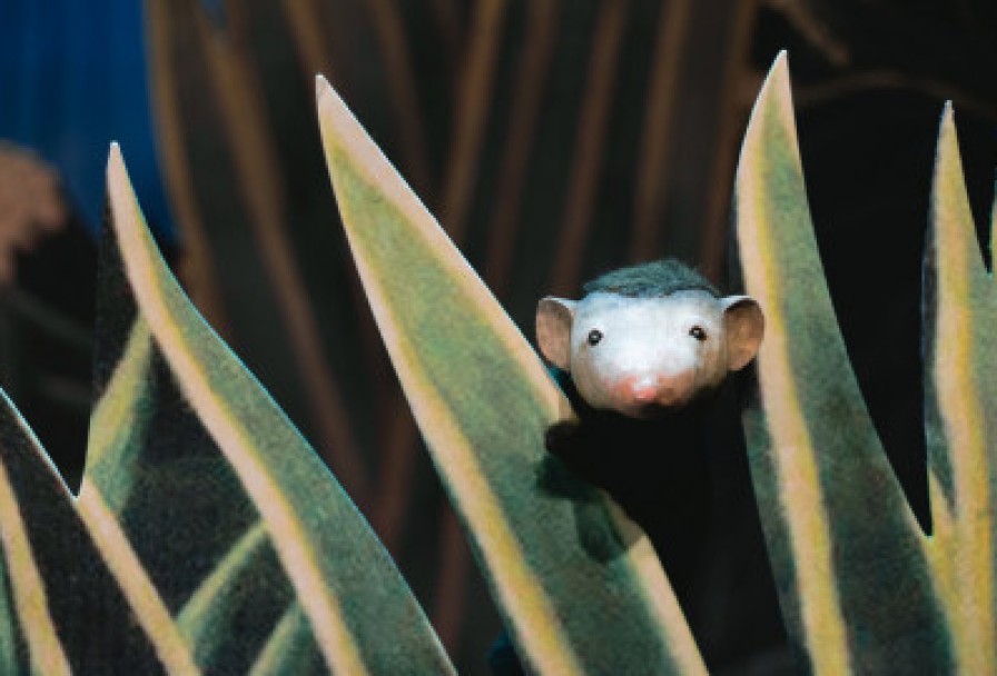 Рикки-Тикки-Тави