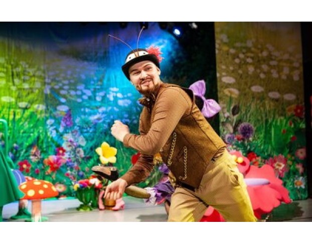 День Рождения Мухи