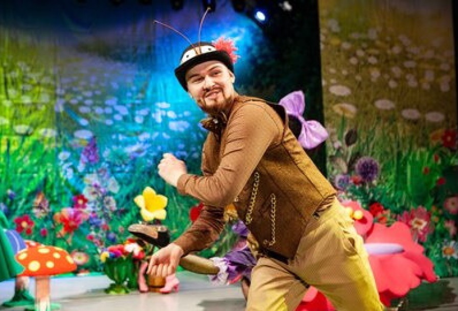 День Рождения Мухи