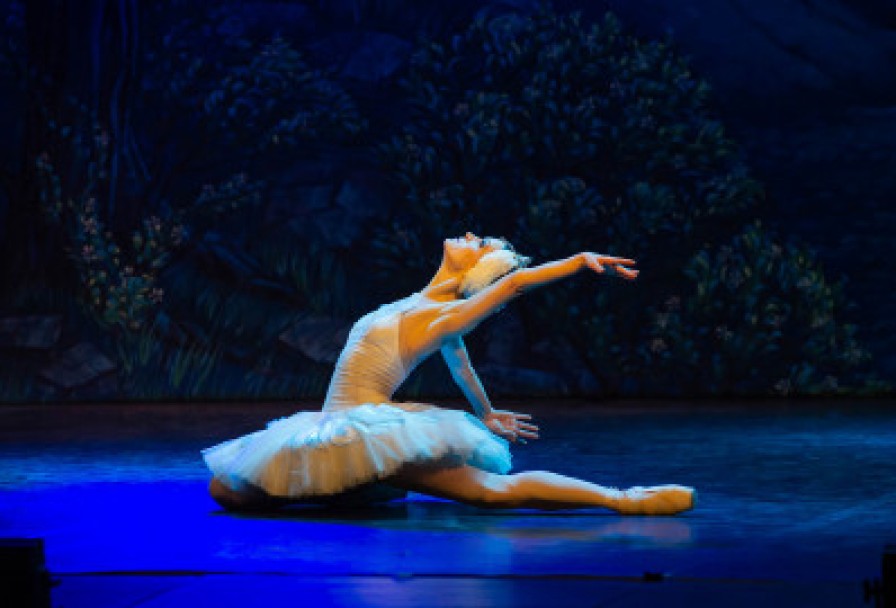 Лебединое Озеро