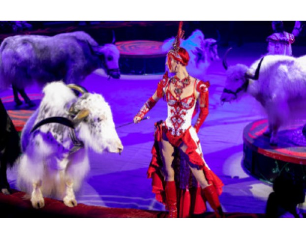 Королевский Цирк