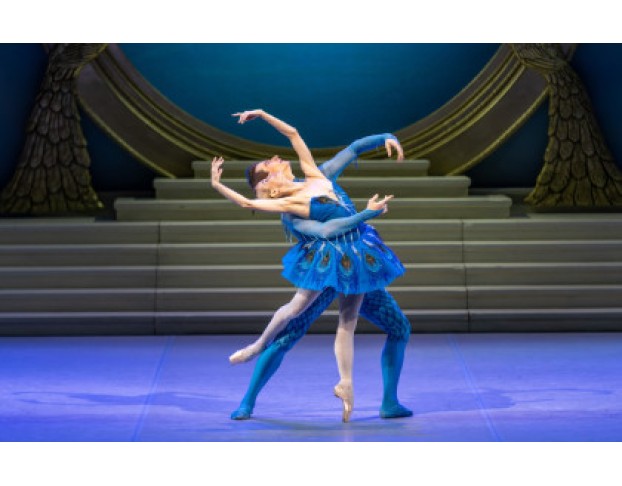 Спящая Красавица