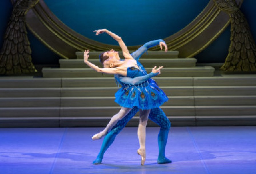 Спящая Красавица