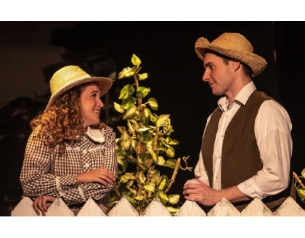 Приключения Тома Сойера