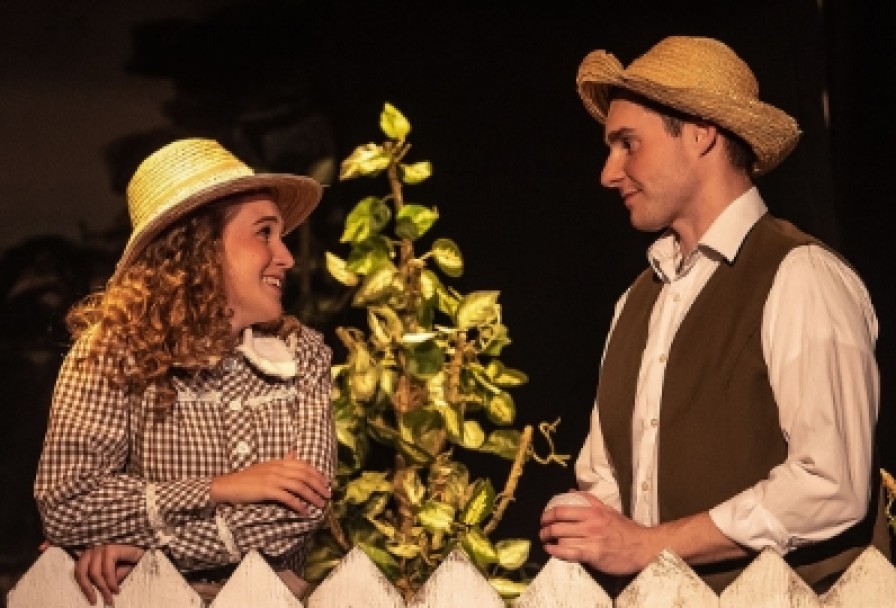 Приключения Тома Сойера