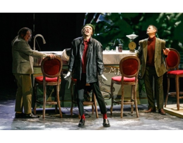 Мадам Бовари