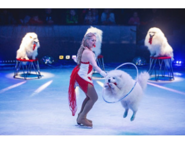 Цирк на Льду Айсберг