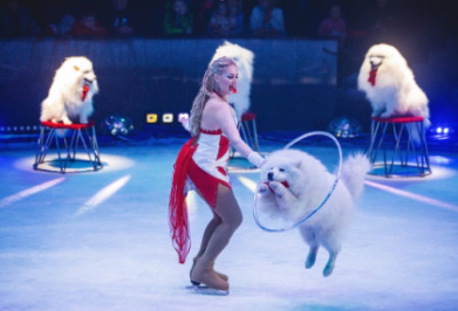 Цирк на Льду Айсберг