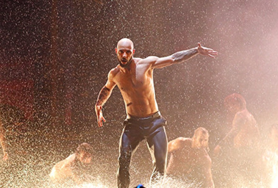 Сезон Дождей