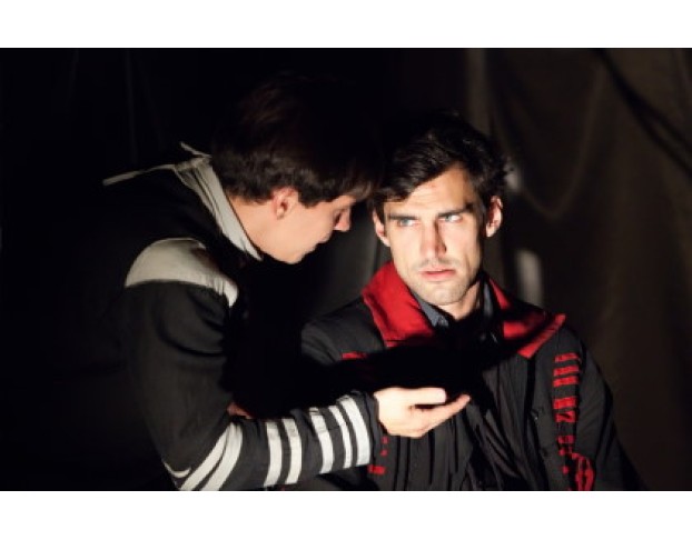 Гамлет. Хроника Одной Ночи