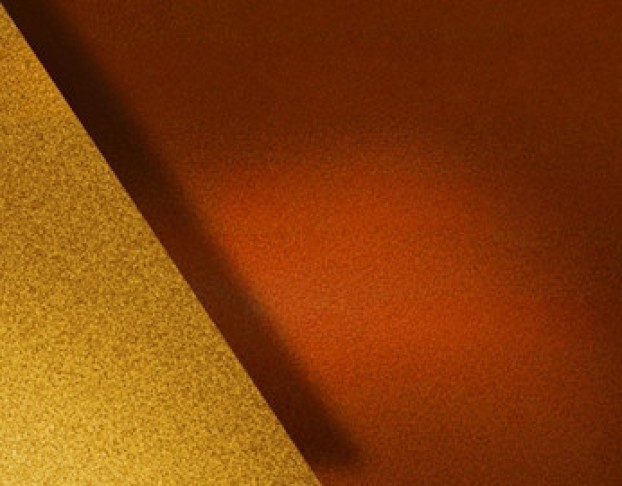 Мольер. Наследники