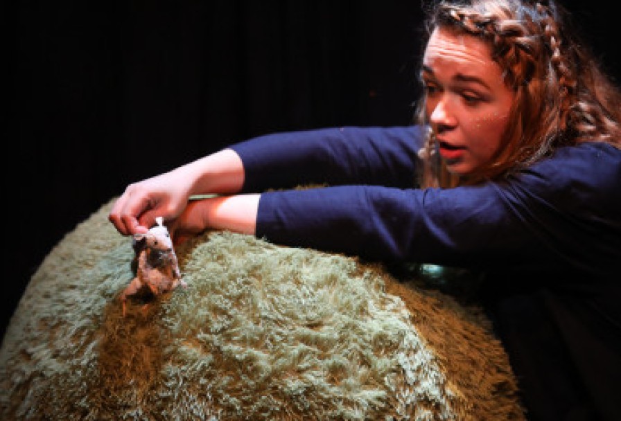 почему Деревья не Ходят