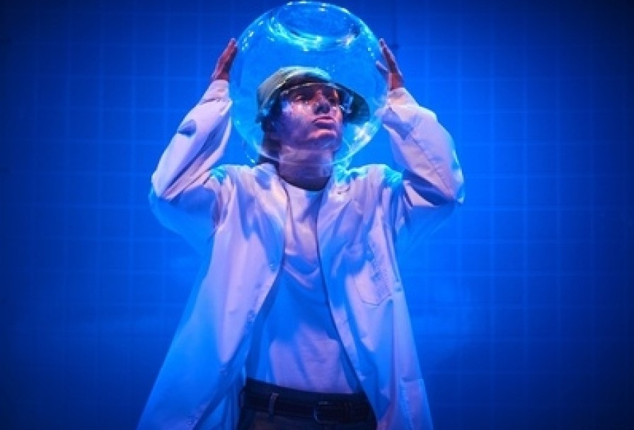 Доклад о Медузах