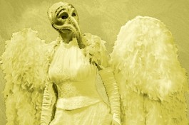 Укрощение Строптивой