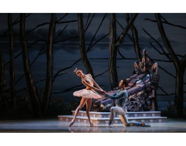 Спящая Красавица