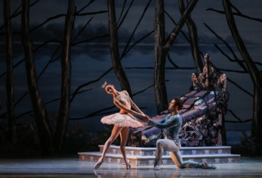 Спящая Красавица