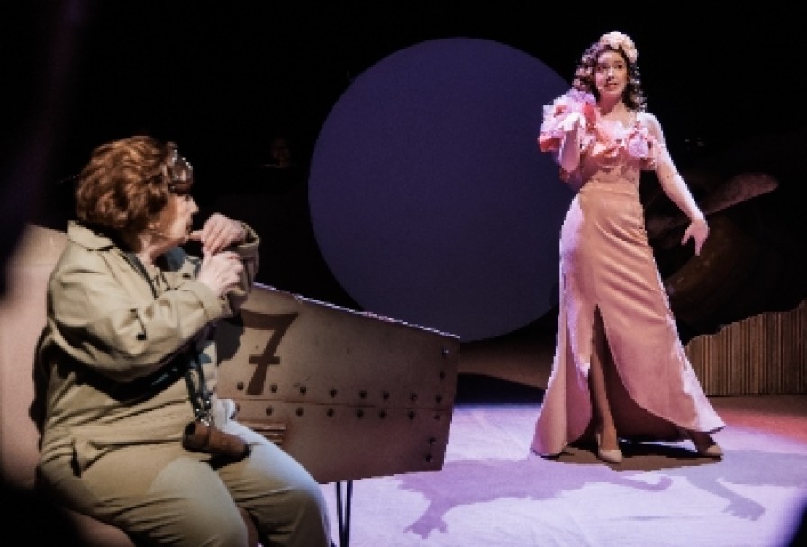 Маленький Принц. Полёт в Одном Действии