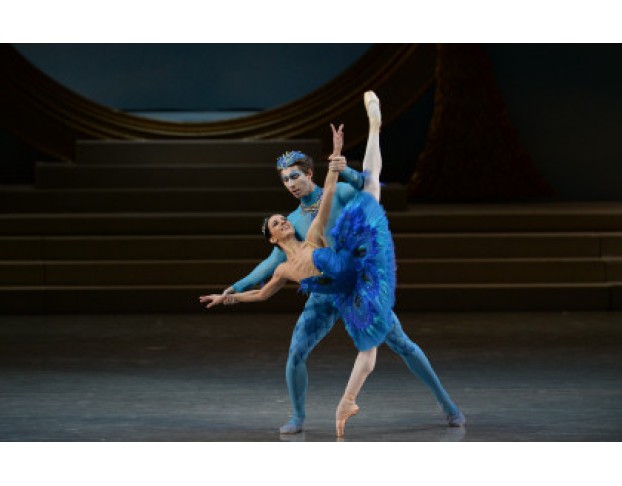 Спящая Красавица