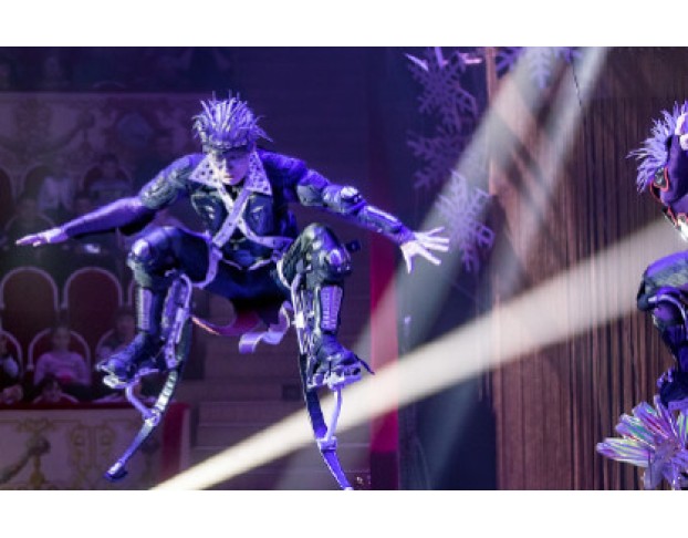 Новогодняя Ёлка в Цирке