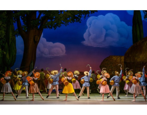 Тщетная Предосторожность