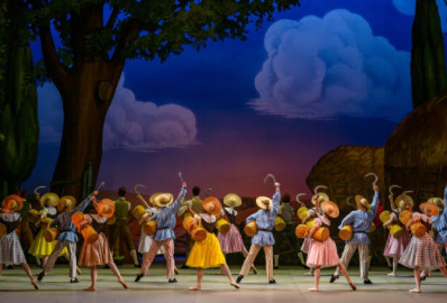 Тщетная Предосторожность