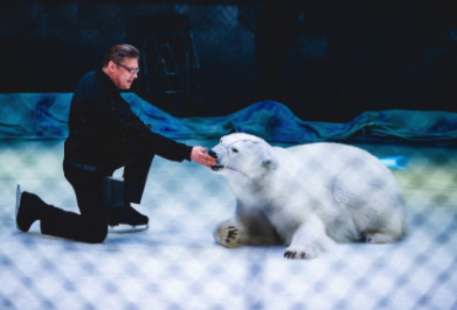 Цирк на Льду Айсберг