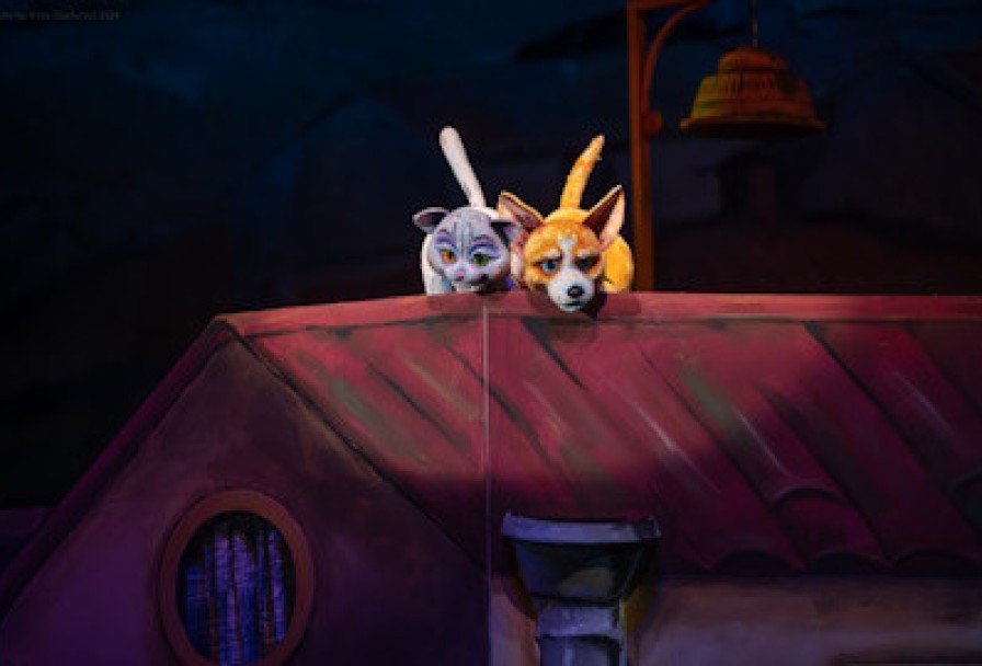 Котенок по Имени Гав