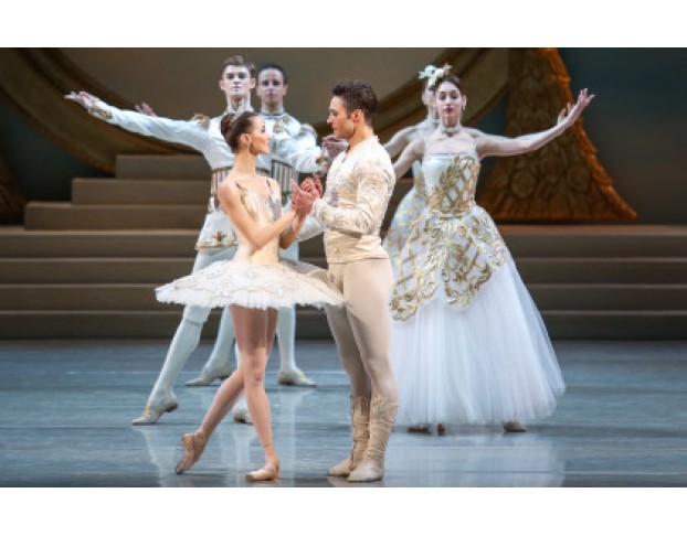 Спящая Красавица