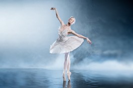 Лебединое Озеро