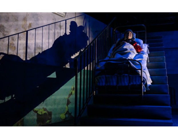 как Зоя Гусей Кормила