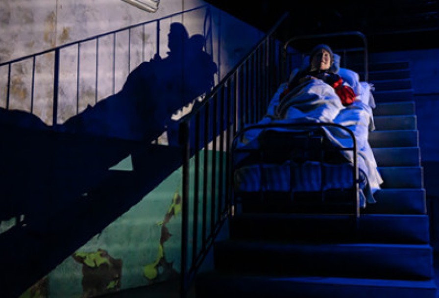 как Зоя Гусей Кормила