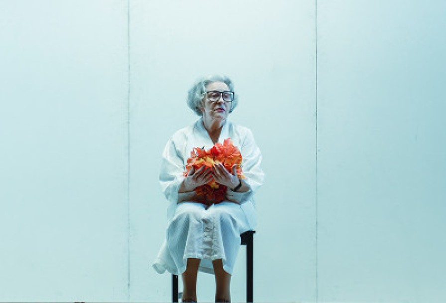 Тектоника Чувств