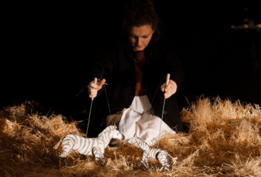 Дневник Ласточки