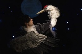 Журавль и Цапля