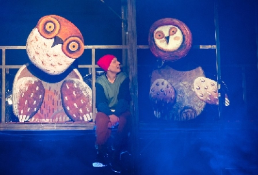 Путешествие Нильса с Дикими Гусями