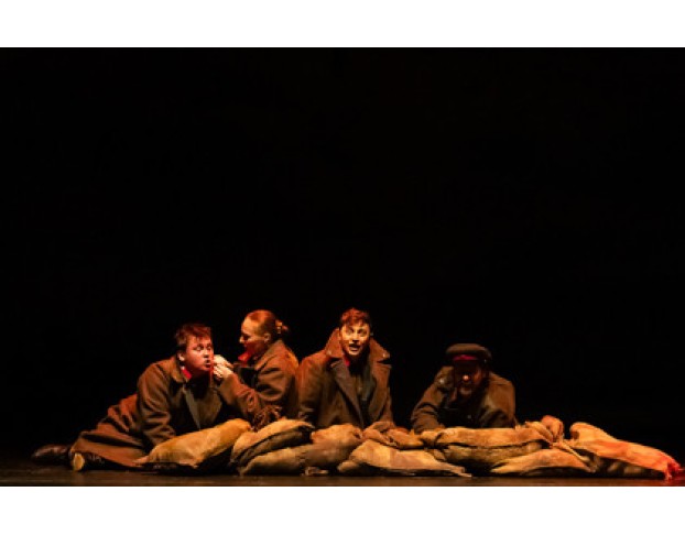 Бессмертники