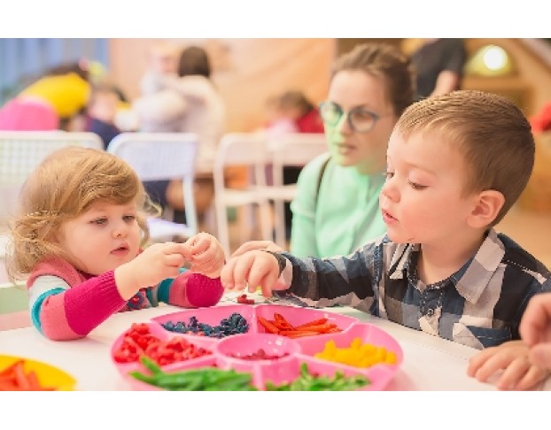 Сенсорный Фестиваль