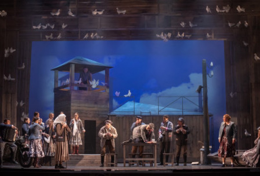 Любовь и Голуби