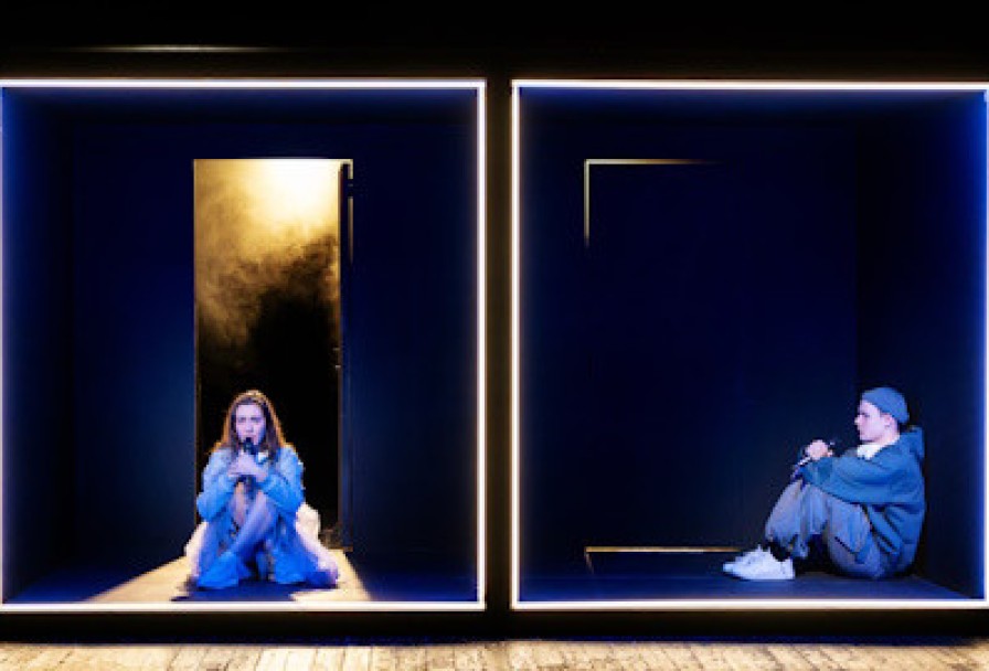 Виндзорские Насмешницы