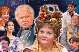 не в свои Сани не садись