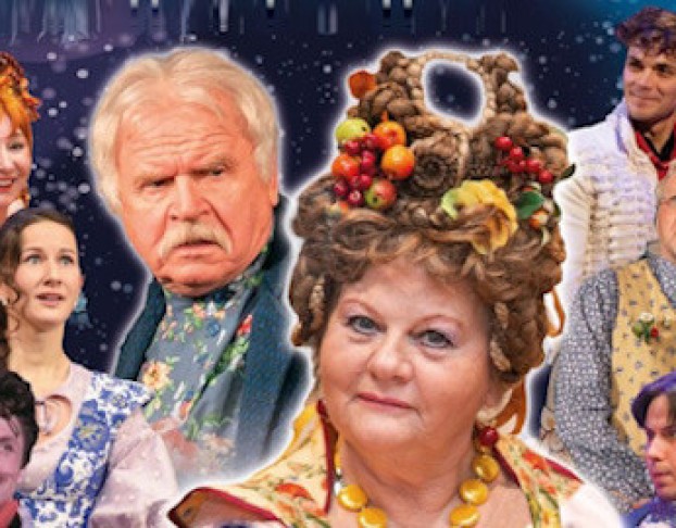 не в свои Сани не садись