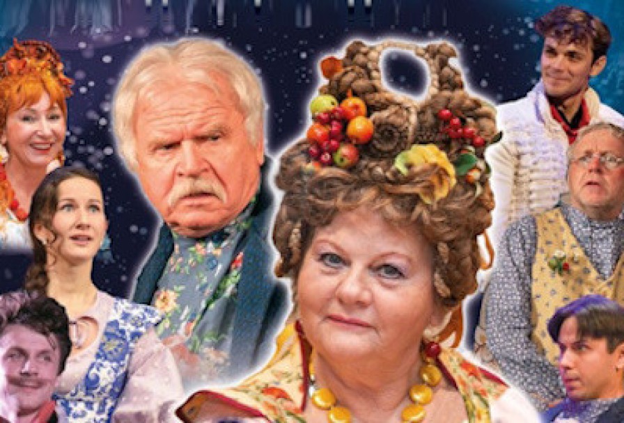 не в свои Сани не садись