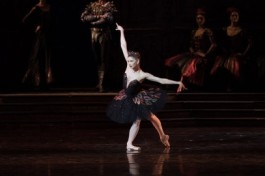 Лебединое Озеро