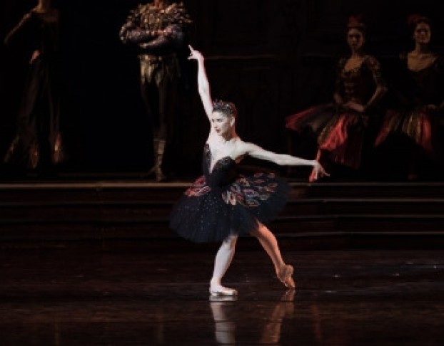 Лебединое Озеро