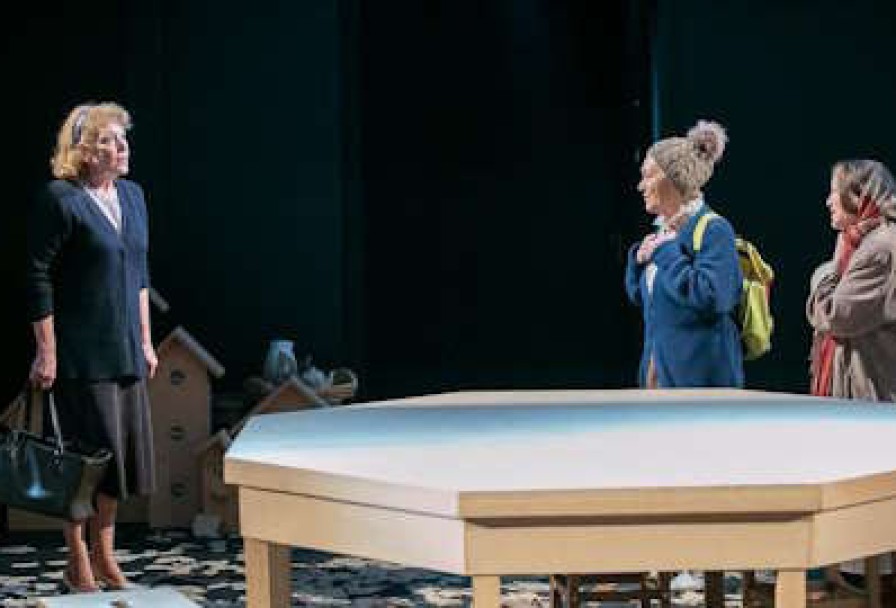 Земля Эльзы