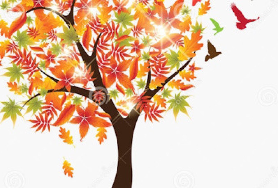 Кот Котофеич и Чудо Дерево