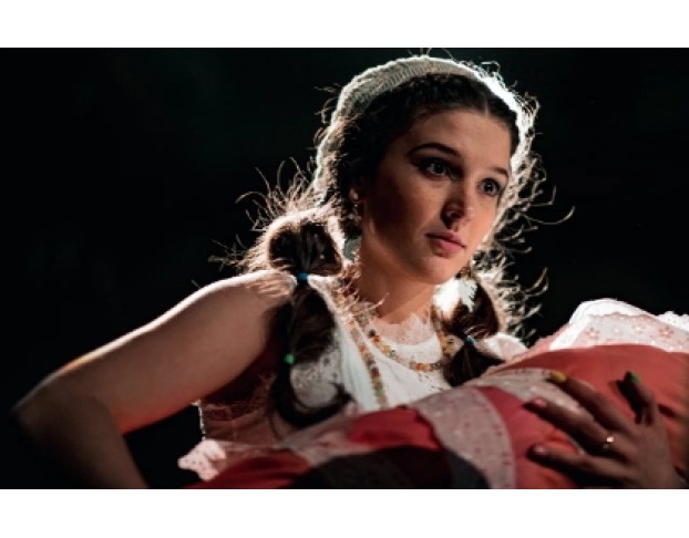 Земля Эльзы