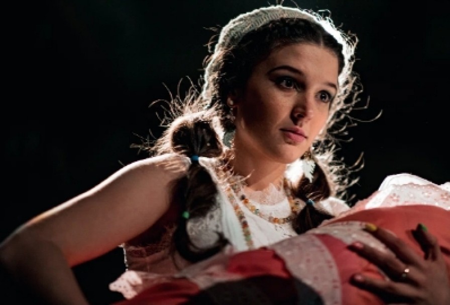 Земля Эльзы