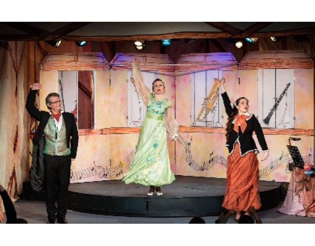 Музыкальный Магазинчик Феи Динь-Динь